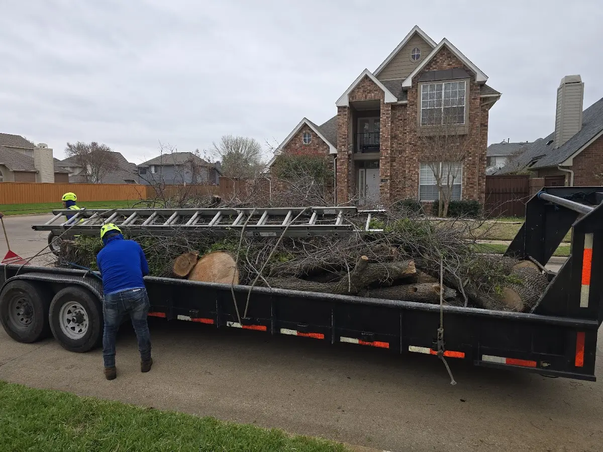 Expert Lot Clearing with proper safety equipment in Champion